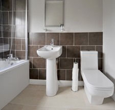 Contemporary bathrooms